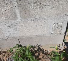 Élévation des murs du 21 juillet au 31 juillet.

Vue maçonnerie extérieur curage ok