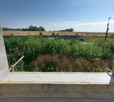 Élévation des murs du 21 juillet au 31 juillet.

Vue maçonnerie fenêtre chainage bas en parpaing en U + linteau haut béton armée