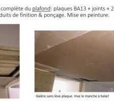 Rénovation complète du plafond: plaques BA13 + joints + 2 couches enduits de finition & ponçage. Mise en peinture.