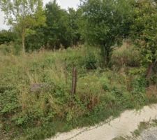 Visite du terrain avec le propri&eacute;taire au mois d'aout 2019