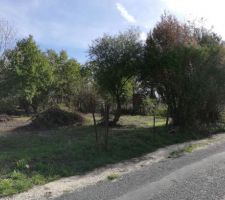 D&eacute;broussaillage terrain d&eacute;but&eacute; le 01 octobre 2019