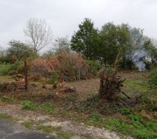 D&eacute;but du coupage des arbres et br&ucirc;lage le 27 octobre 2019