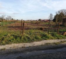 Fin du coupage et br&ucirc;lage le 02 janvier 2020
Il n'y a plus qu'a attendre le terrassier pour le d&eacute;ssouchage