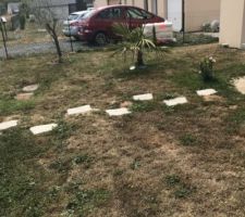 Jardin avec les plantations de l?automne dernier qui souffre de la chaleur