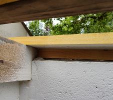 Abris jardin, toiture jonction pannes mur à gauche