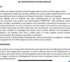 Analyse laboratoire