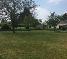 Notre terrain le jour de notre premi&egrave;re visite