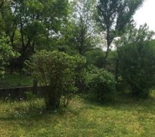 Notre terrain le jour de notre premi&egrave;re visite