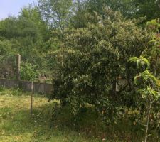 Notre terrain le jour de notre premi&egrave;re visite