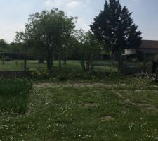 Notre terrain le jour de notre premi&egrave;re visite