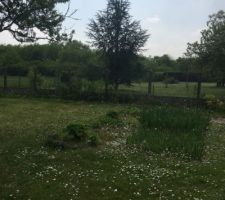 Notre terrain le jour de notre premi&egrave;re visite