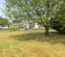 Notre terrain le jour de notre premi&egrave;re visite