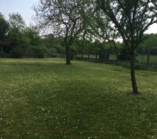 Notre terrain le jour de notre premi&egrave;re visite