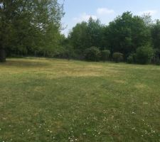 Notre terrain le jour de notre premi&egrave;re visite