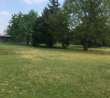 Notre terrain le jour de notre premi&egrave;re visite