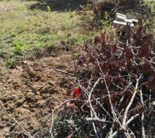 Le fond du terrain sans clôture béton et parpaing.