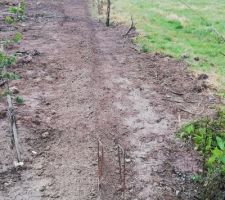 Pr&eacute;paration du terrain pour cr&eacute;er un talus de sout&egrave;nement en pierre le 13 juillet