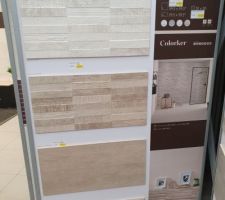 Fa&iuml;ence choisie salle d'eau RDC