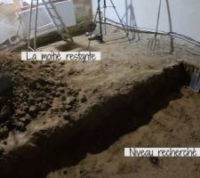 Avril/Mai 2020: Je retire 15tonnes de terre compactée à la pelle et à la brouette. 12 jours de travaux.  

Photos tirées de l'épisode 17 de - La rénovation de Koggy - https://bit.ly/KoggyEP17