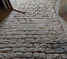 Déjointoyage...des pavés (en cours)