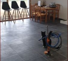 D&eacute;but de la cuisine