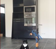 Début de la cuisine