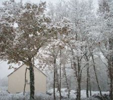 La neige le 28/11/2010. Côté Nord.