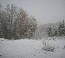 La neige le 28/11/2010. Côté Sud.
