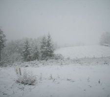La neige le 28/11/2010. Côté Sud.