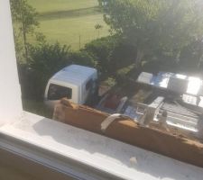Déménagement avant la construction