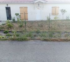 Le trottoir "végétalisé" par le lotisseur...un sacré bazar !!!