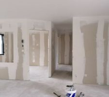 Peintre plafond fait 
electricite fait 
plomberie fait