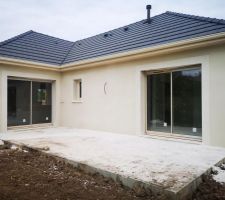 Crépis en cours