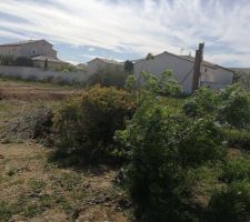 Voici le terrain avant !!!!!