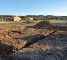 Premiers coups de pelleteuse... C'est parti !!!&ccedil;a continue