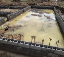 Vide sanitaire