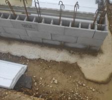 Vide sanitaire