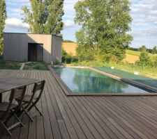 Terrasse. Piscine et pool house