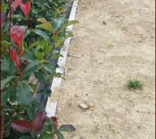 Et pour vraiment ne perdre aucun cm2 de jardin nous avons décidé de faire un petit mur de soutènement tout en béton pour avoir un jardin bien plat et droit ! Prochaine étape normalement l'engazonnage !