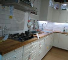 En attendant la fin de la construction, notre choix de cuisine est celui-ci.