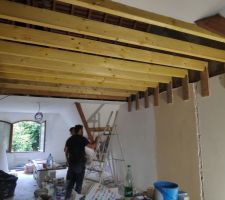 Renforcement et création d'un faux plafond disgne 

Au total 3jours de travail (casser, nettoyage, renforcement, fermeture en BA13, bandes )