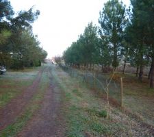 Photo du terrain avant démarrage et avant abattage de 50 arbres !!!!