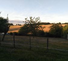Terrain c&ocirc;t&eacute; est, apr&egrave;s la barri&egrave;re.
