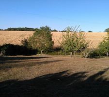 Terrain c&ocirc;t&eacute; est, apr&egrave;s la barri&egrave;re.