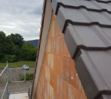Planches sous rives peintes par moi :D
