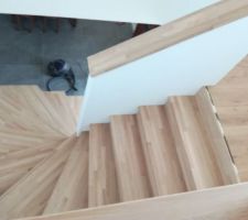 Escalier et menuiseries posés, reste plus qu a teindre le bois, mettre la barre de seuil, finir les plinthes et le silicone. Garde-corps sera mis fin octobre debut novembre ?