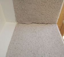 Fissures