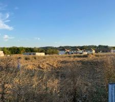 Le terrain après avoir été défriché. Il y avait des ronces de 1,50m partout !