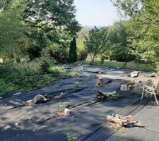 Partie du jardin inférieur