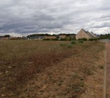 Terrain avant viabilisation